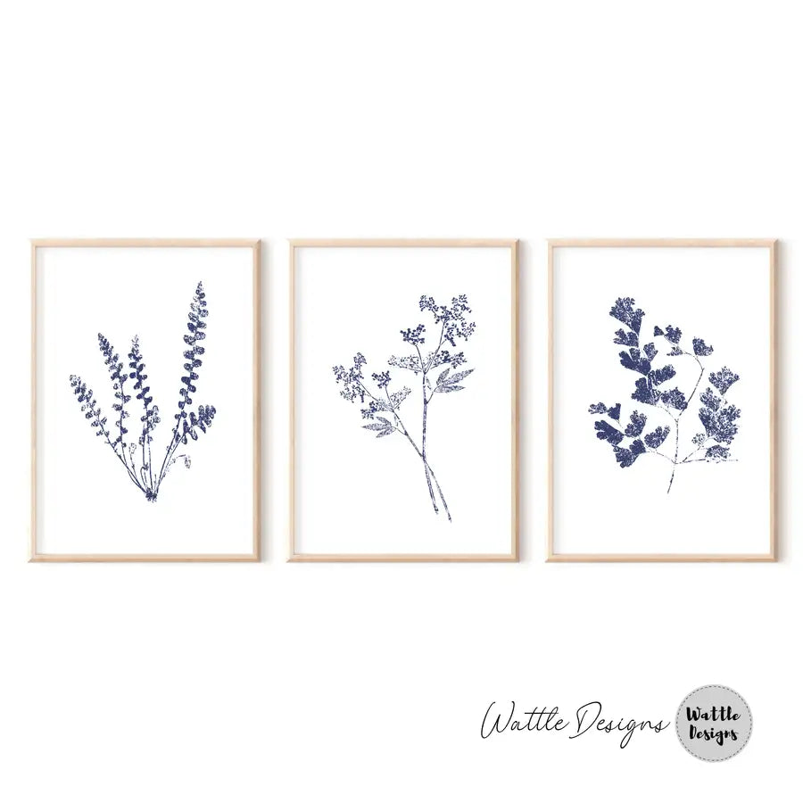 Botanical Set of 3 Art Prints | Blue Prints Set | Wattle Designs